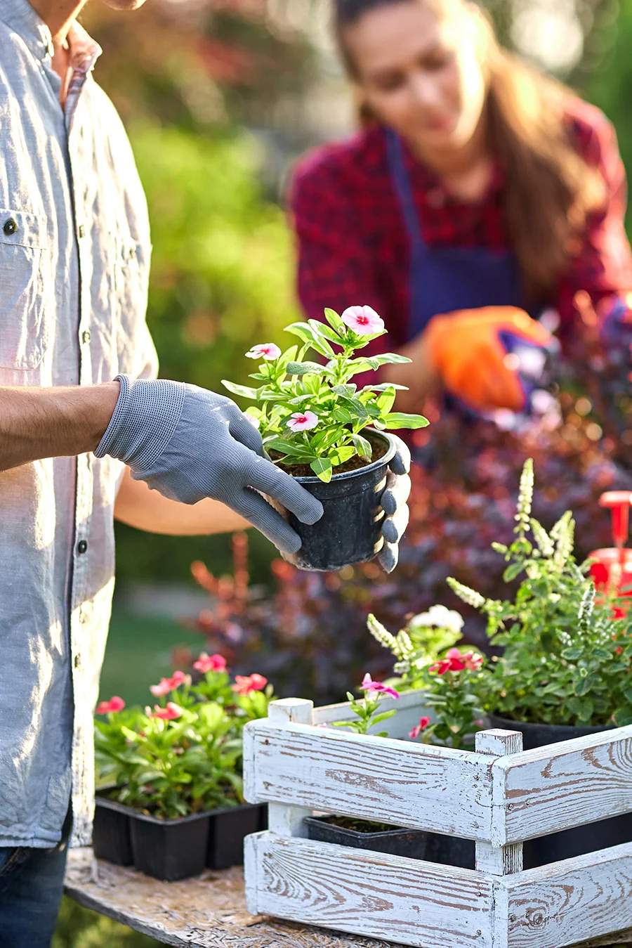 People gardening while in inpatient addiction treatment